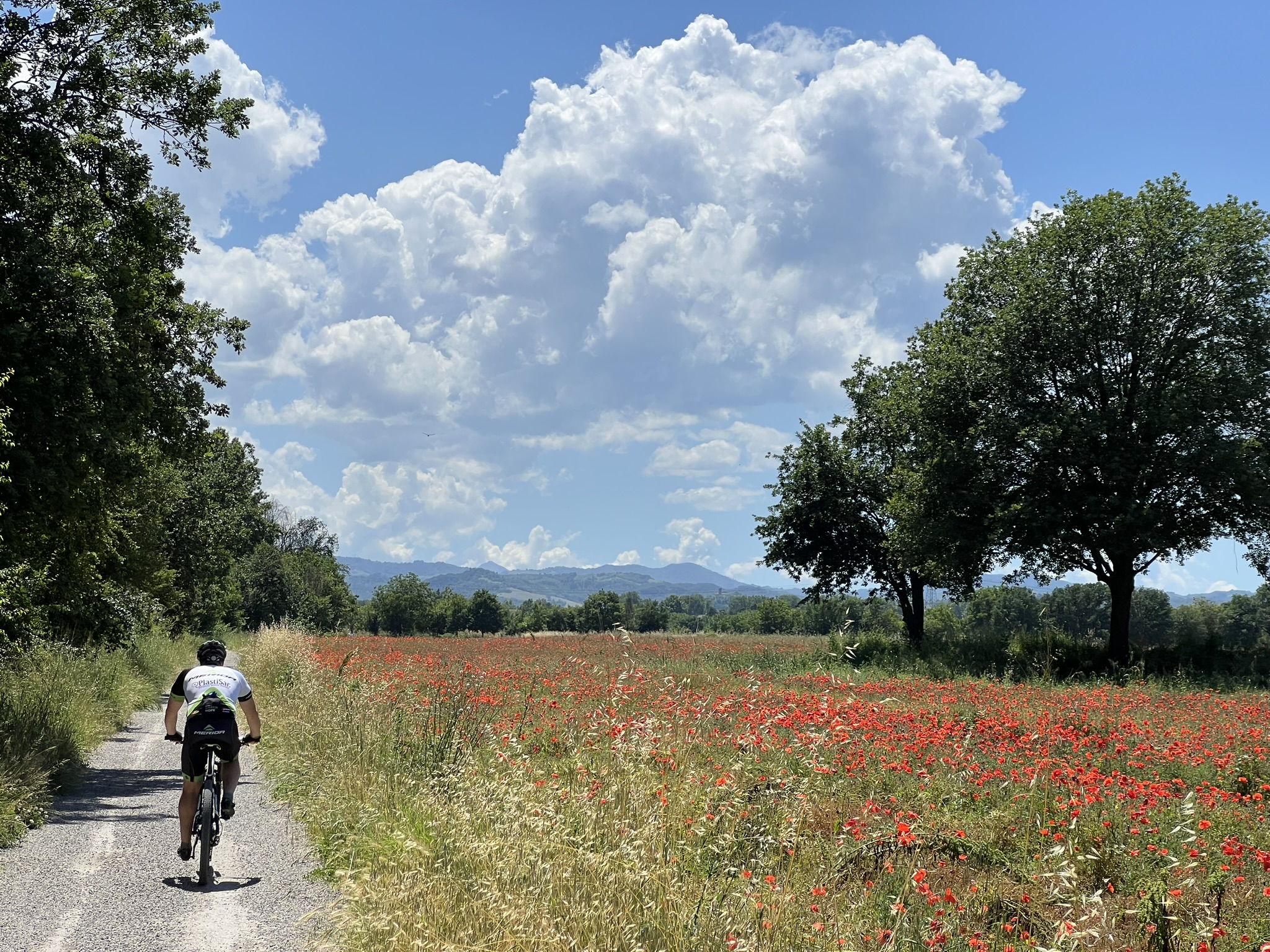 pedaliamo alle caprette